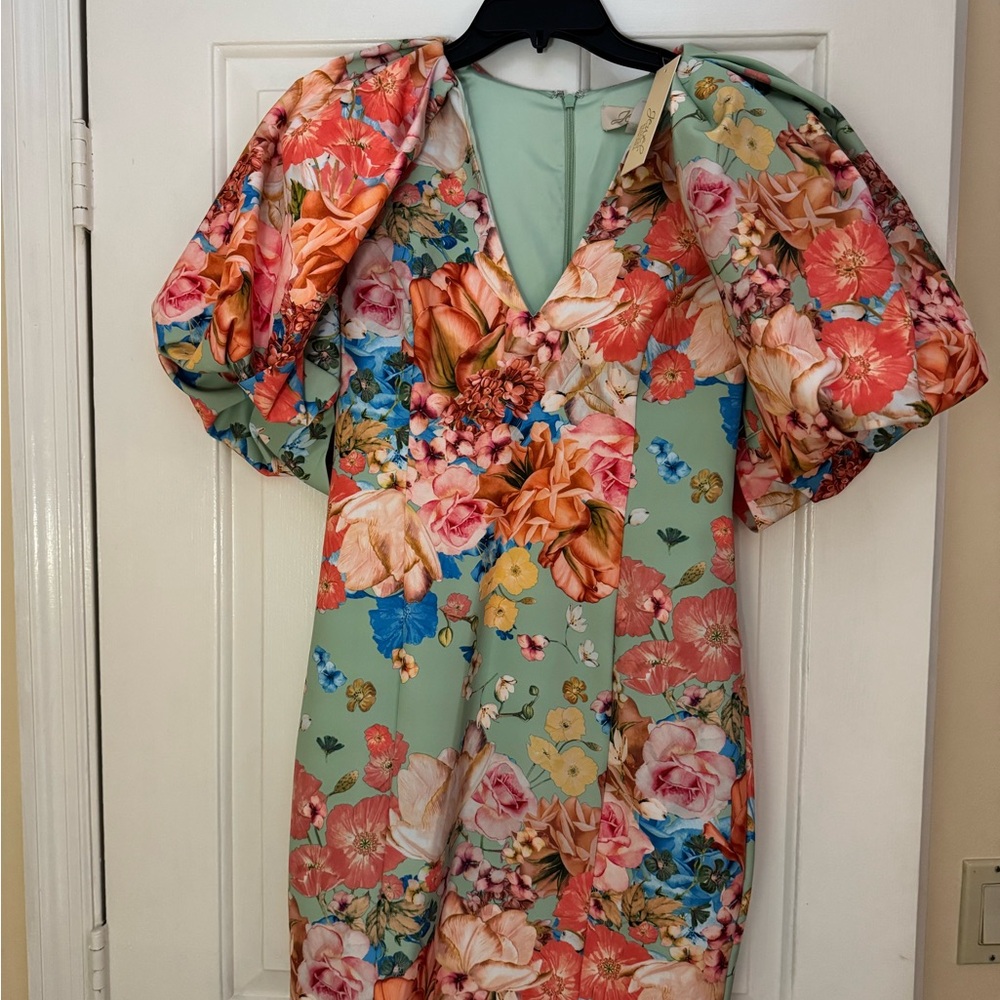 Jewel Badgley Mischka Floral Puff-Sleeve Dress in Mint, Coral, Blue